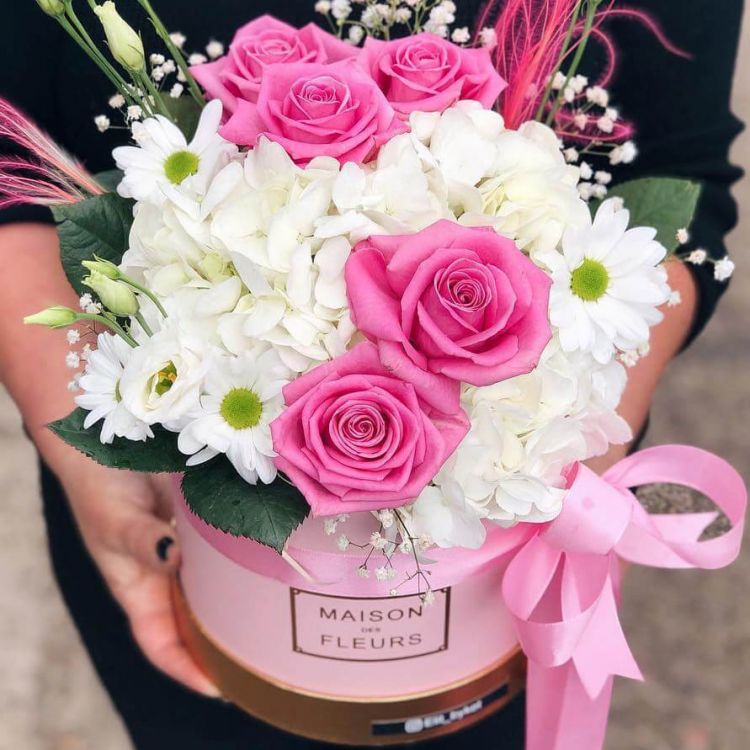 Спящая красавица от 5 460 руб.