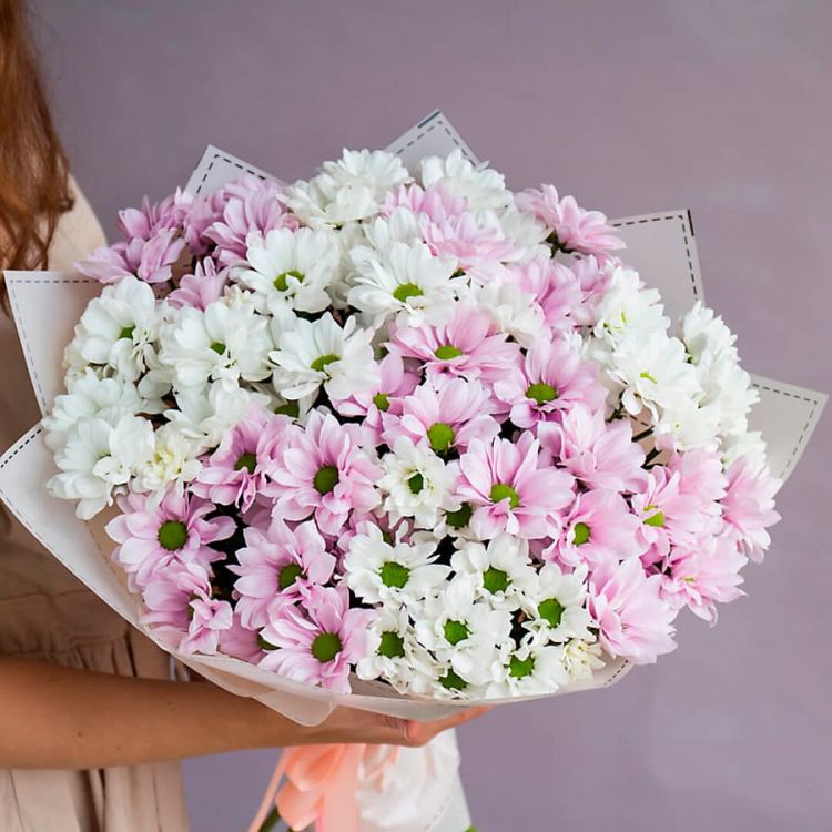 Любовь и голуби от 4 640 руб.