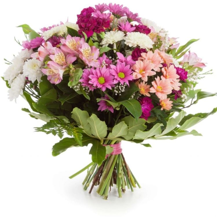 Певчая птичка от 3 240 руб.