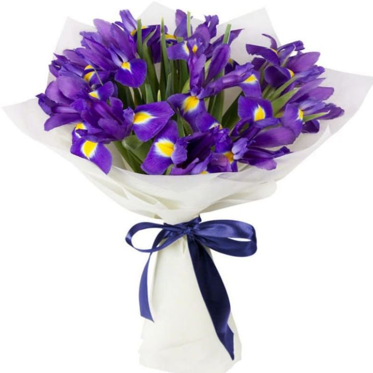 Авторский от 2 380 руб.