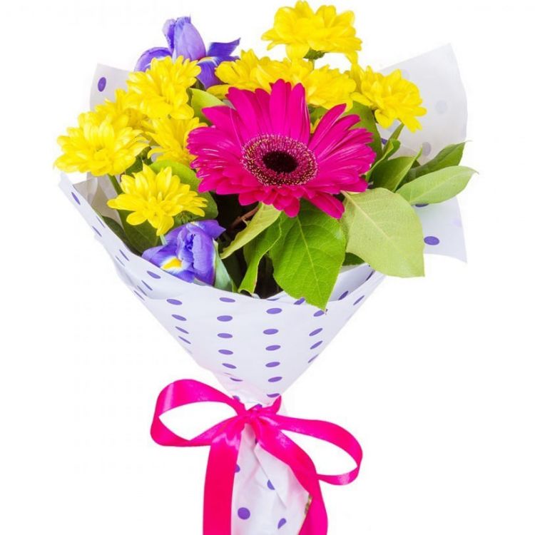 Яркий праздник от 2 740 руб.