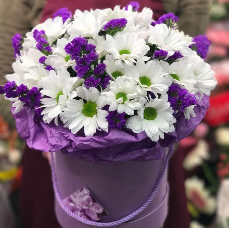 Голубка от 5 820 руб.