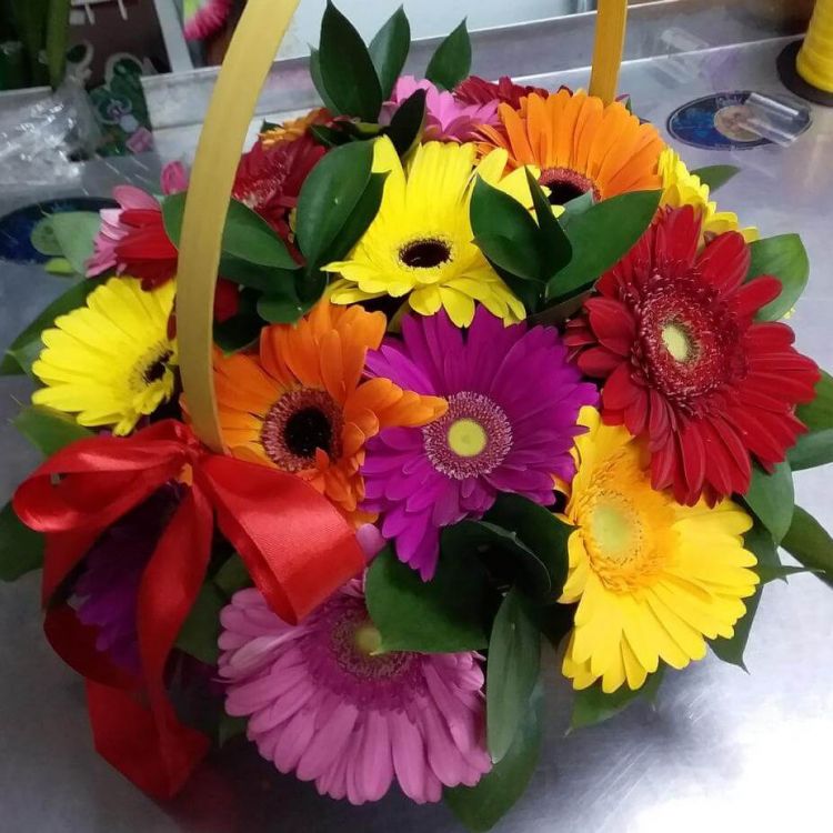 Наша радость от 5 350 руб.