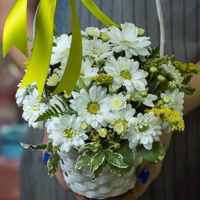 Свежесть весны от 3 580 руб.