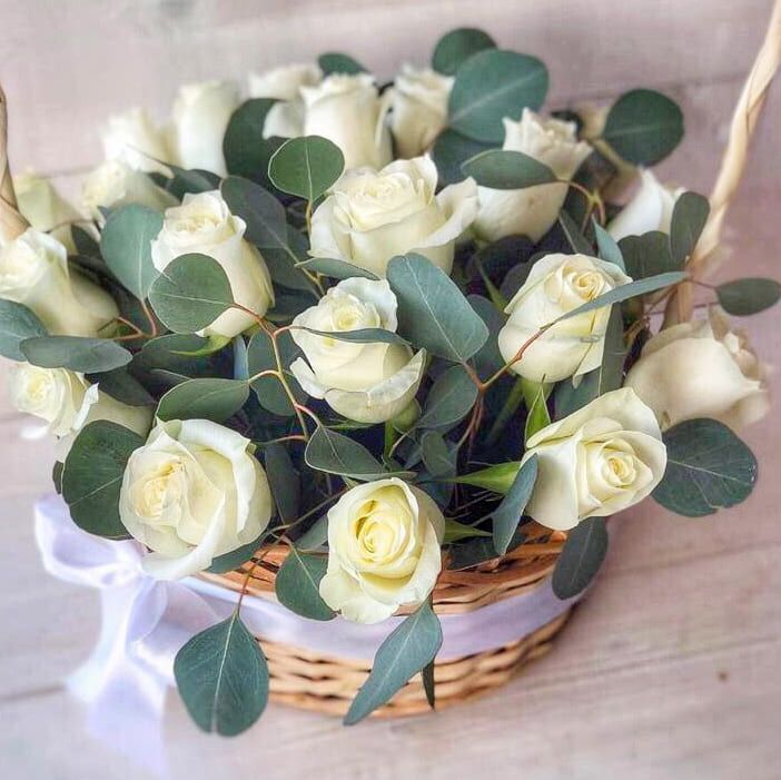 Солнечная поэма от 5 410 руб.