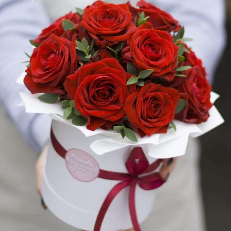 Моя половинка от 5 140 руб.