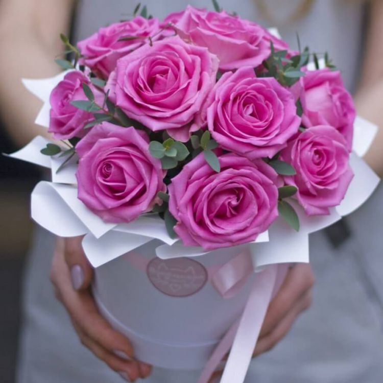 Симпатия от 4 910 руб.